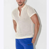 Hearujoy Summer Mens Hollow Out Knit Polo Shirts Sexy See Through Short Sleeve V-lapel Tops Fashion Mesh Loose Casual T-shirt Streetwear